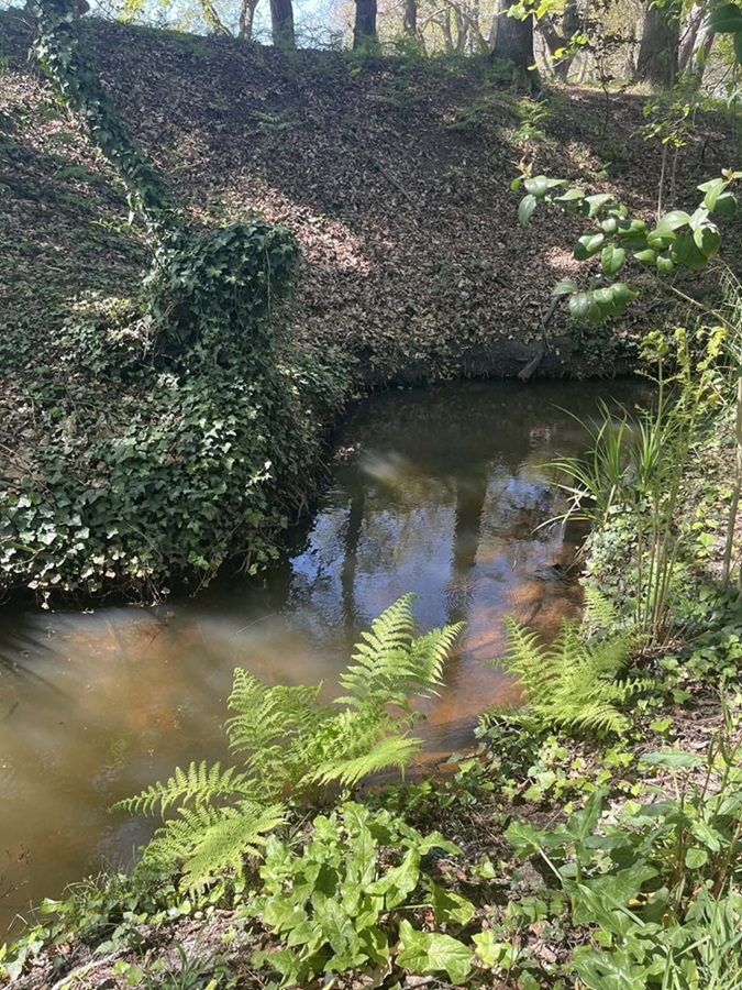 Balade contée le long du Bétey  "Le murmure du ruisseau"