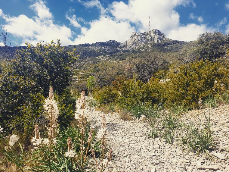 LA FONT DU GRIFFE ET LE PIC BAUDILLE