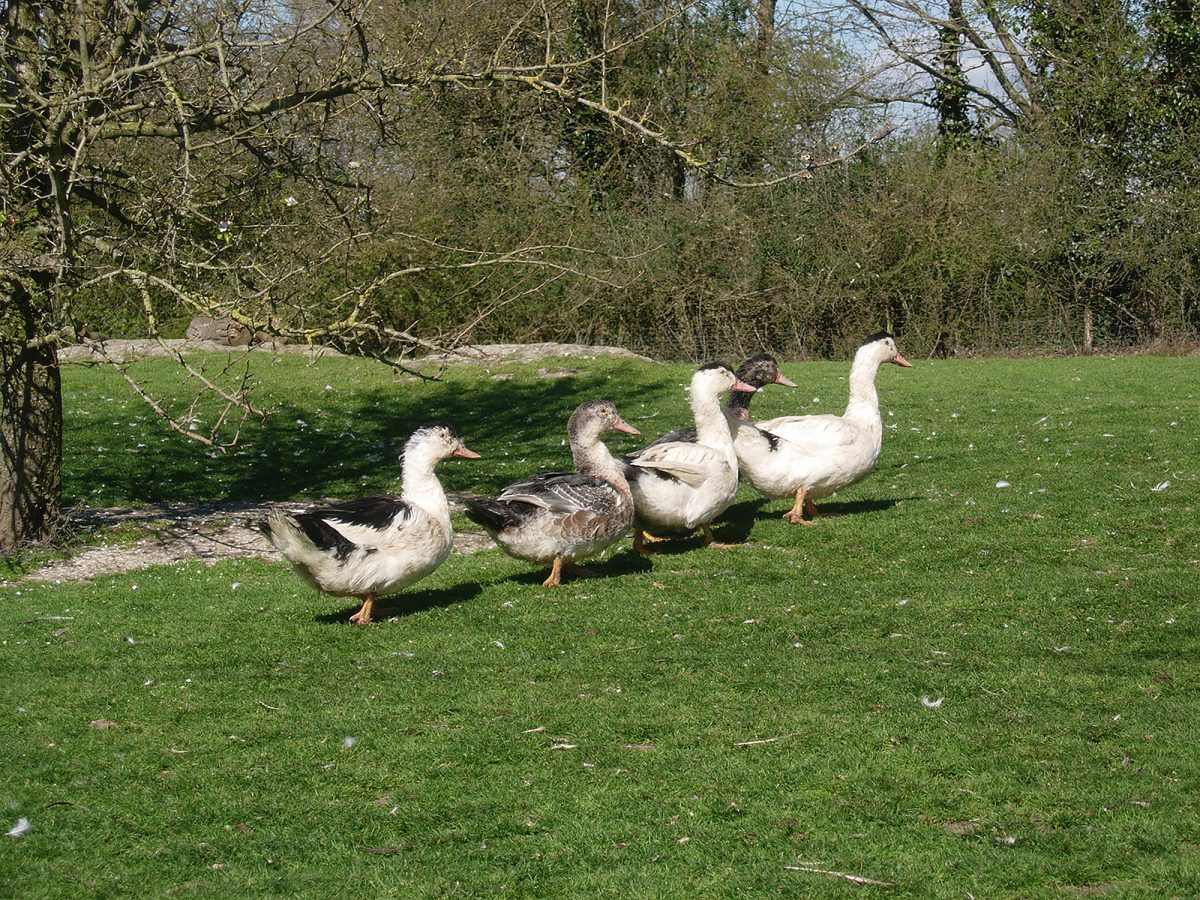 Fermiers du Bord de Sèvre