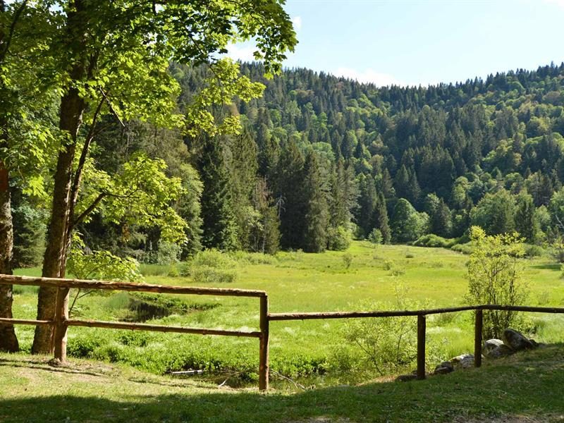 L’étang du Devin