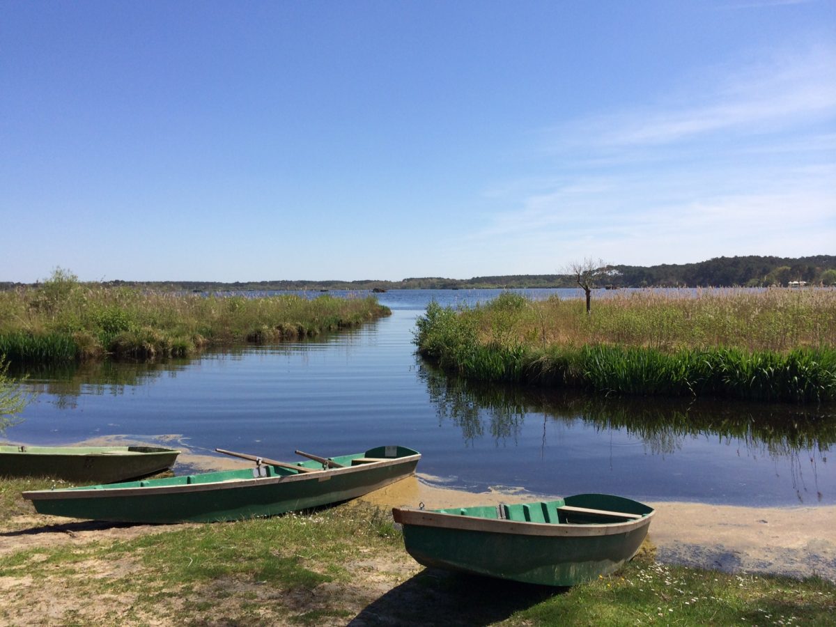 Pêche sur l'Etang Blanc