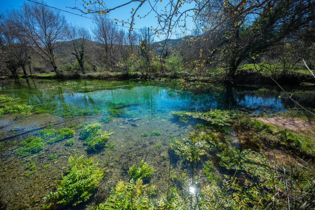 La Source de la Buèges