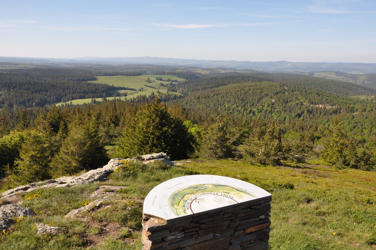 MOURE DE LA GARDILLE