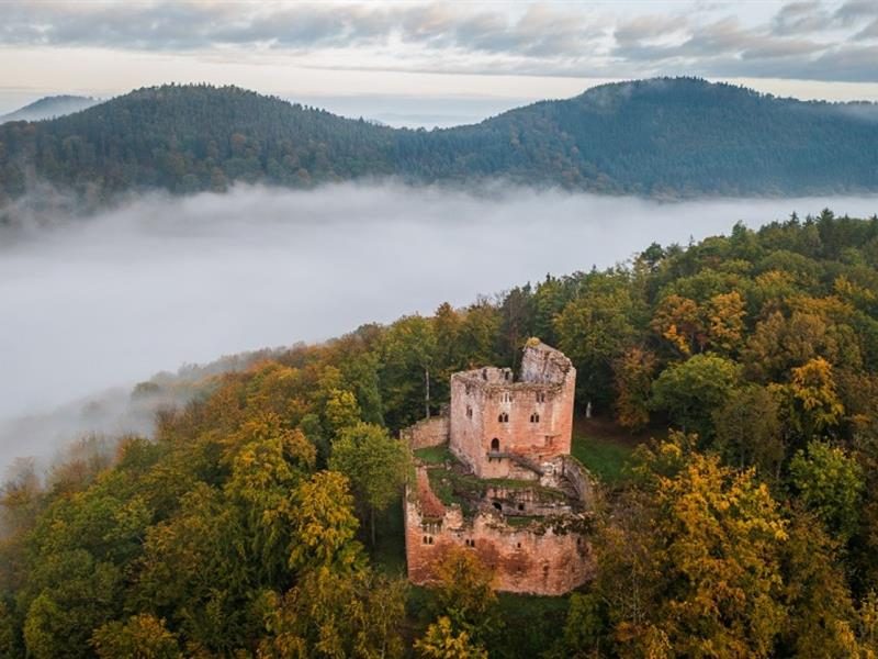Château du Nouveau-Windstein