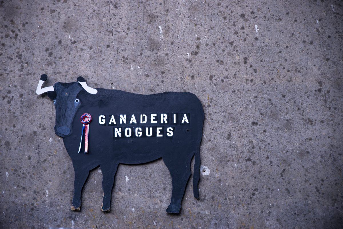 Ganaderia Nogues