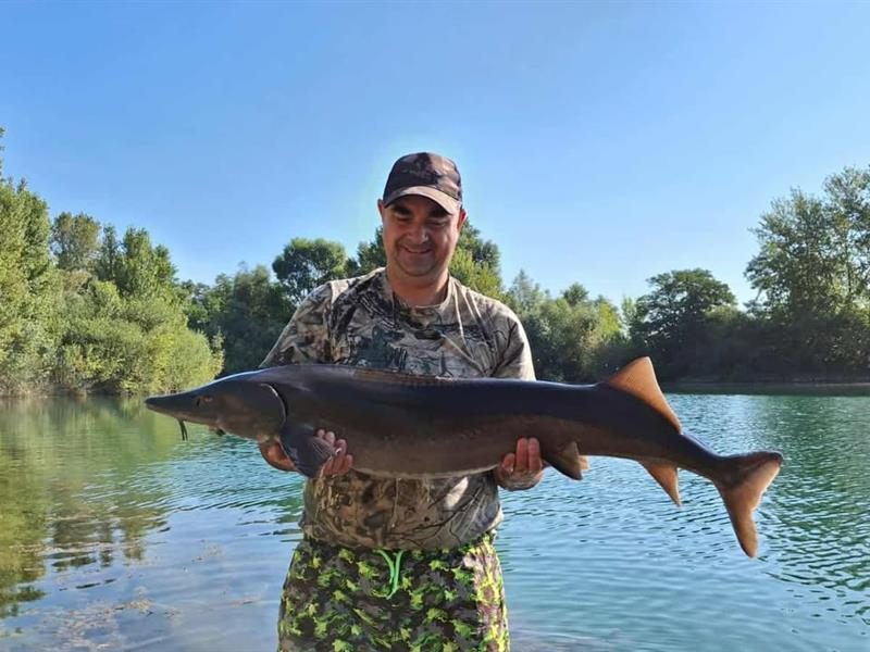 Etang de pêche Gé de l'Ill