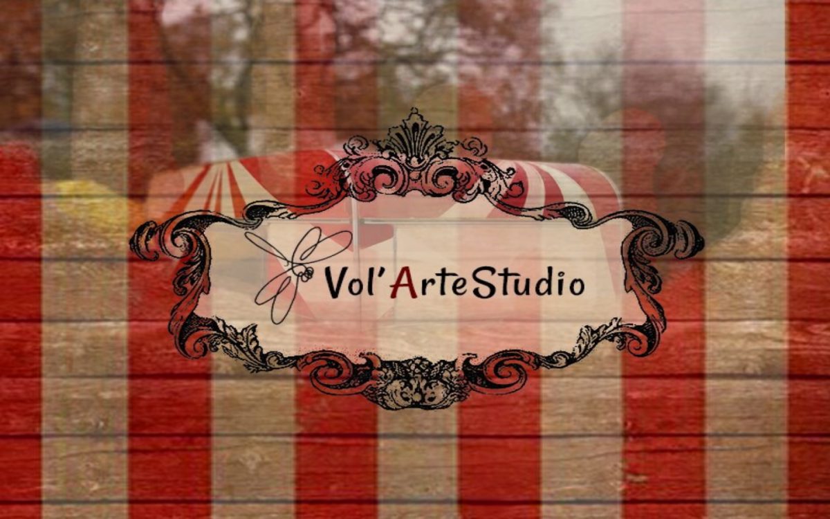 Ecole de cirque Vol'Arte
