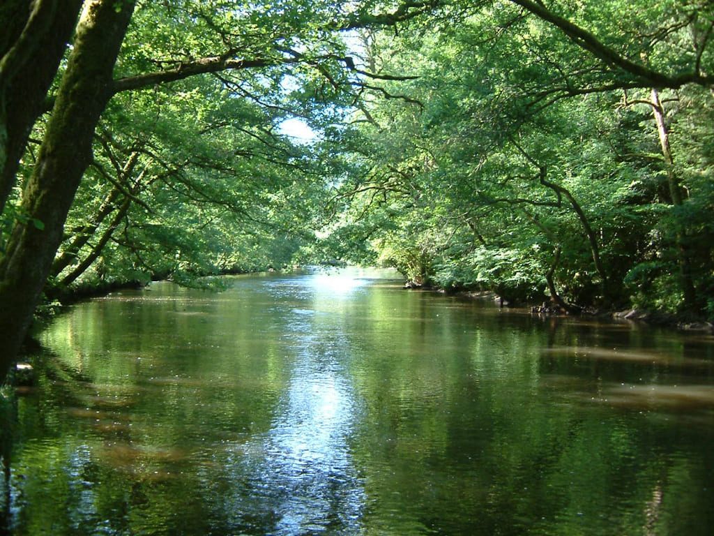 Parcours de pêche sur la Vienne de Saint Denis des Murs