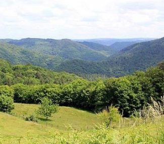 Balade-découverte à Albussac:  "Nature et paysages du site de Roche de Vic"