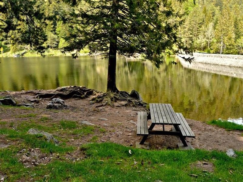 Aire de pique-nique - Lac du Forlet