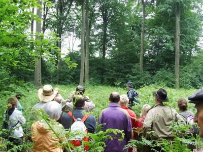 Forêt de la Papiermühle