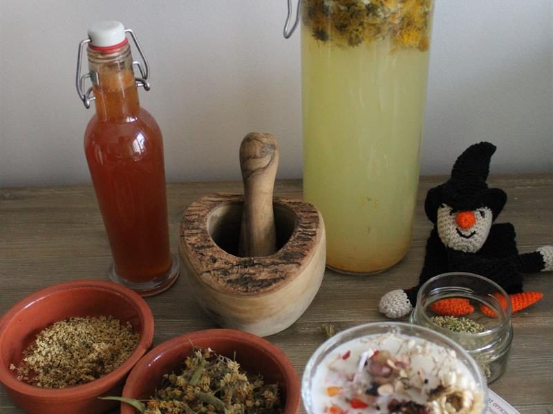 Festival Bêtes et Sorcières - Atelier en famille "Potions Magiques"