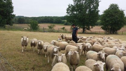 Les Quercynes