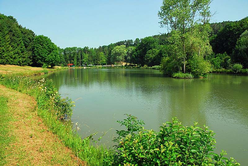 Pêche à l'étang de la Juchère