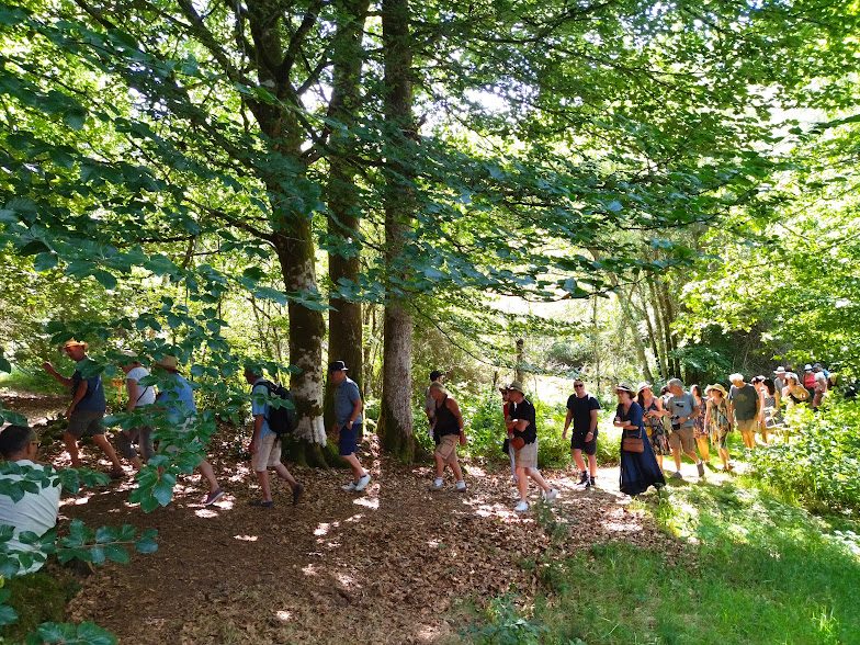 Sortie mycologique ANNULEE