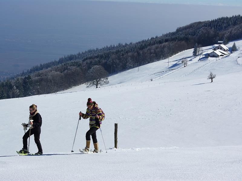Les chaumes du Molkenrain
