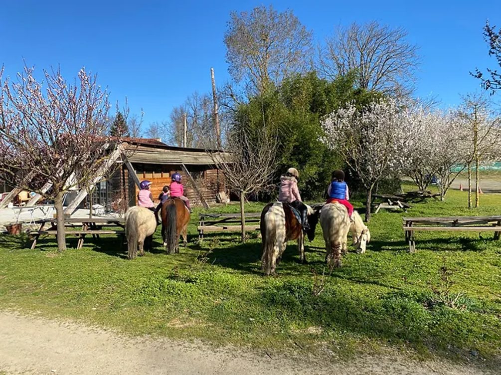 FERME EQUESTRE PEDAGOGIQUE DES 2 RIVIERES