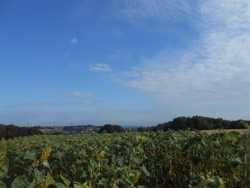 Aire de pique-nique de Longeville-lès-Saint-Avold