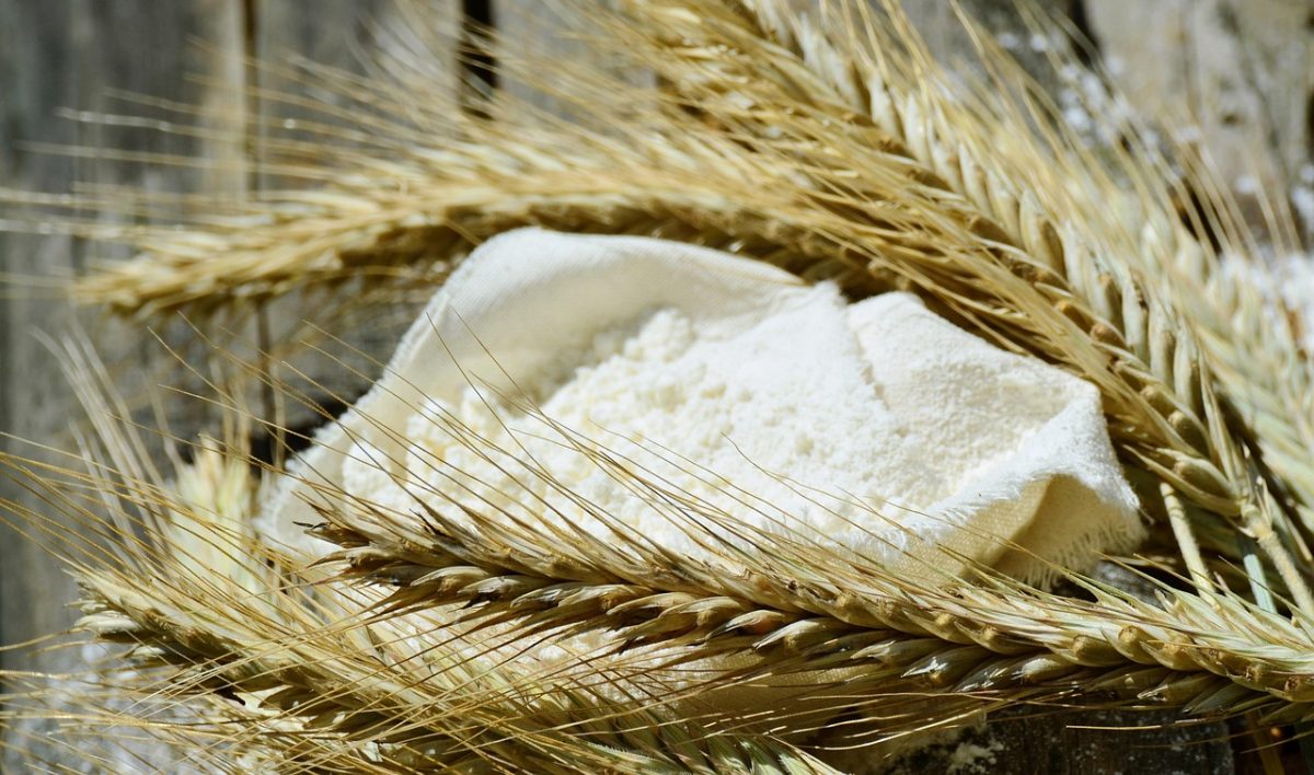 La Ferme de l'Épi-Curieux
