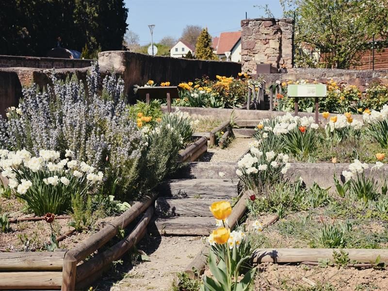 Le jardin médiéval