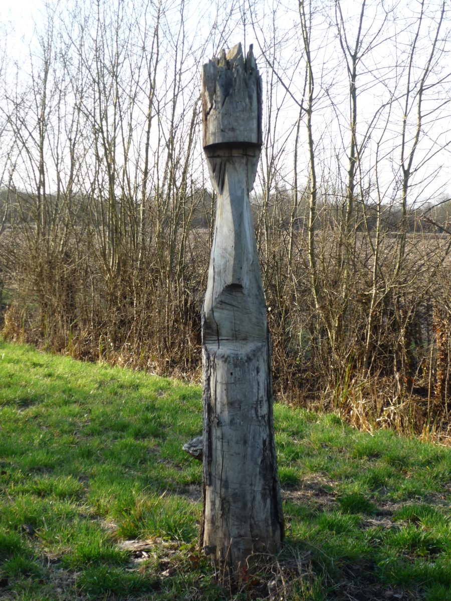 ENS - Marais de Saint-Georges-de-Rex et d’Amuré