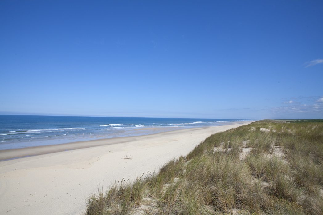 Aire de pique-nique Plage Sud à Carcans-Plage
