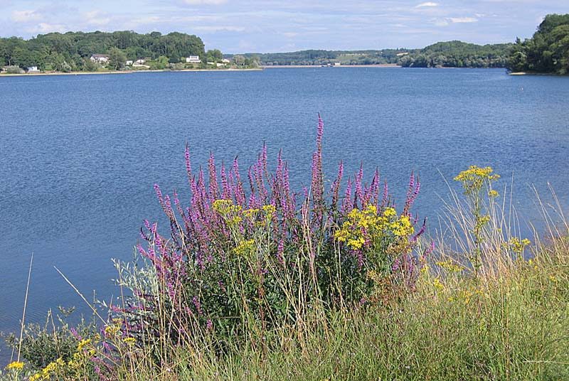 Lac de Charmes