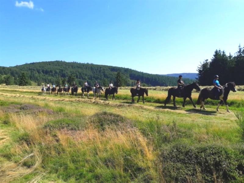 Le centre de loisirs équestres : Cheval Alsace