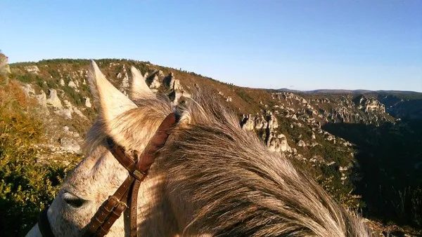 Ecurie des Grands Causses - Promenade à cheval