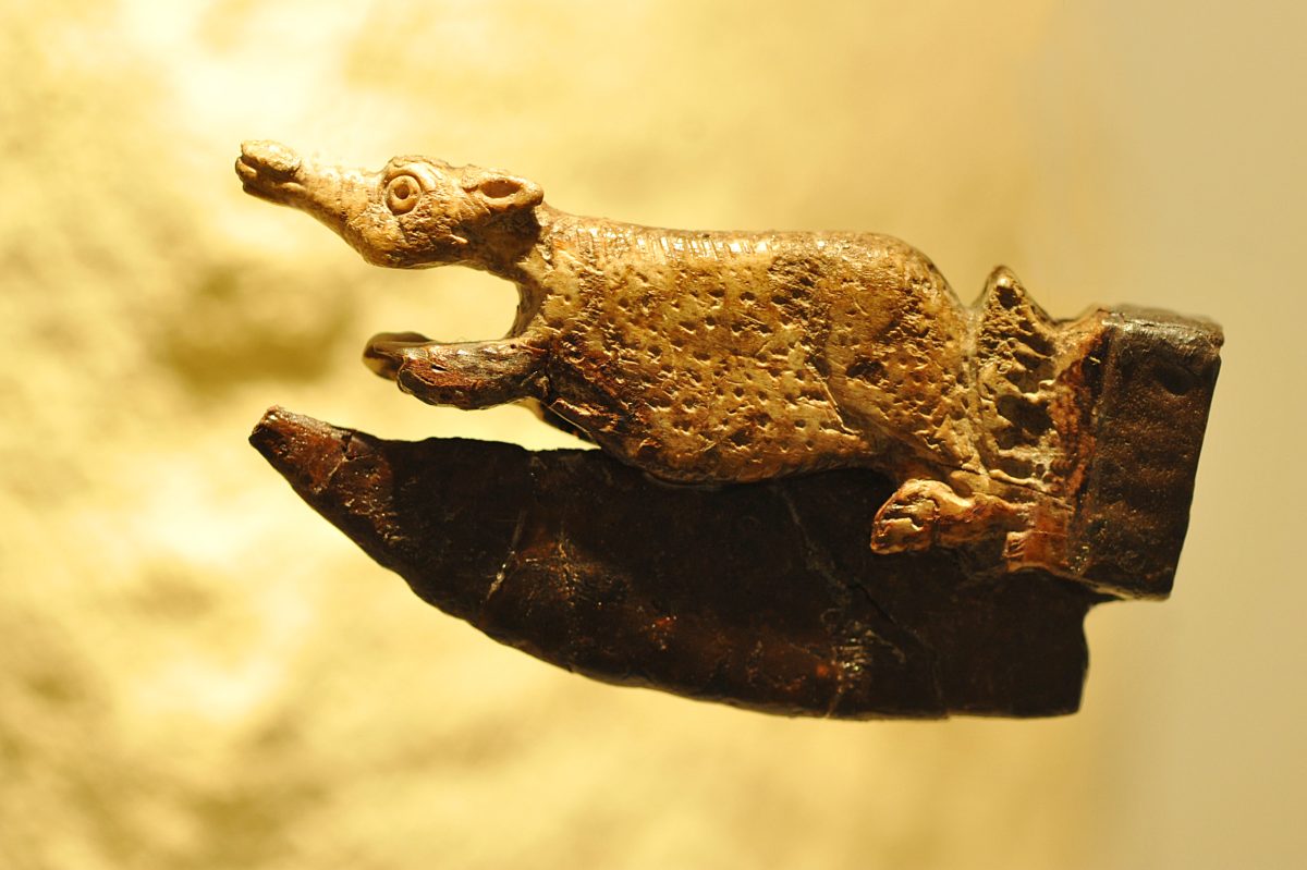 Musée de Rauranum