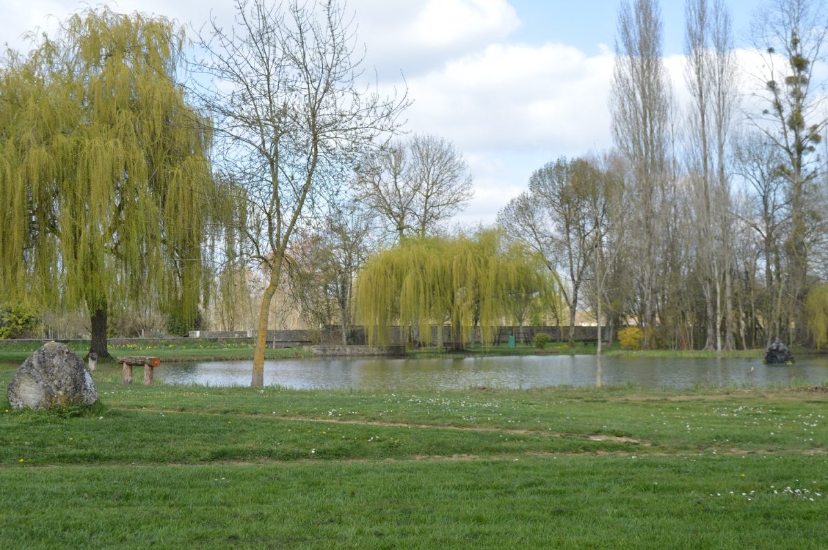Etang de Sainte Soline