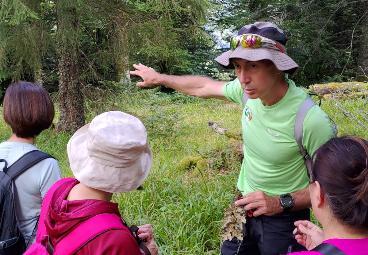 Accompagnateur En Montagne