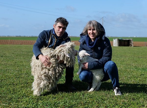 Le Mohair de Sophie