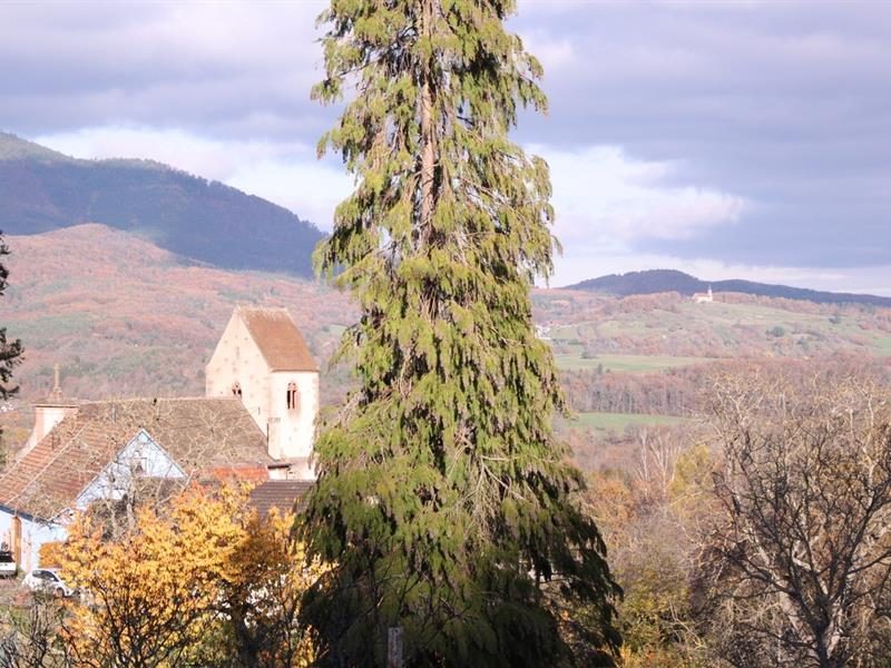 Eglise Saint-Laurent