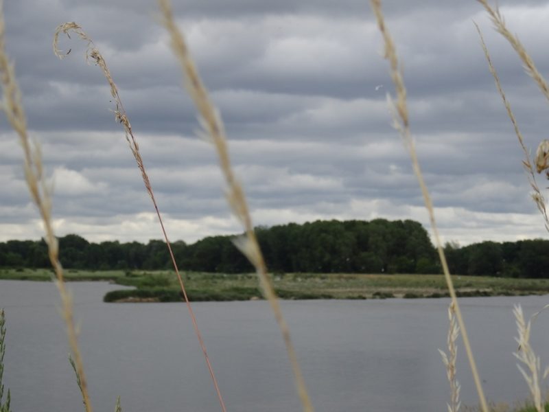 L'Ile aux oiseaux