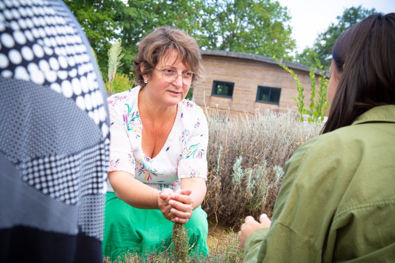 Visite "Découvrez les plantes médicinales" à La Ferme de Fardissou