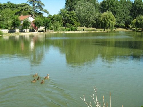 Lac de Lauzun