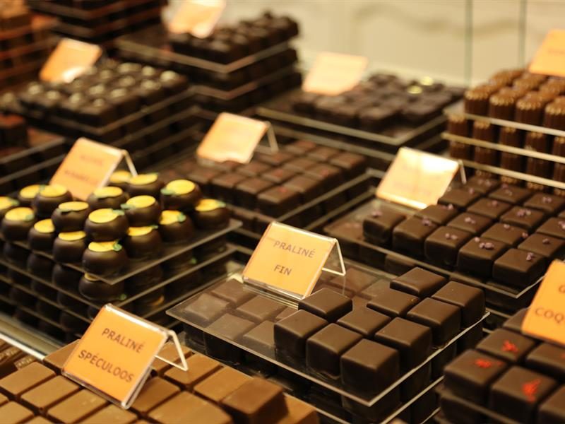 Terra Chocolata