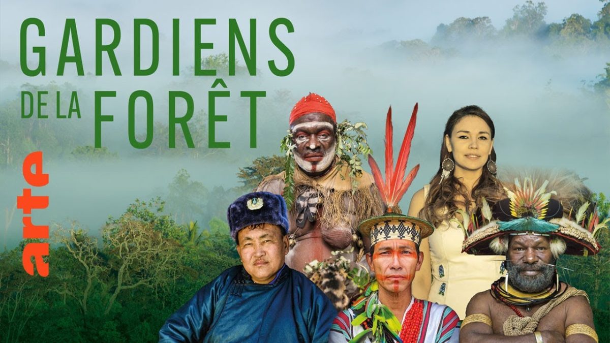Docu Gardiens de la forêt – Gabon la forêt qui soigne (4/5)
