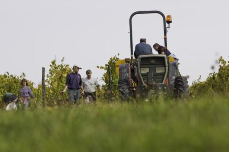 Clos Cavenac