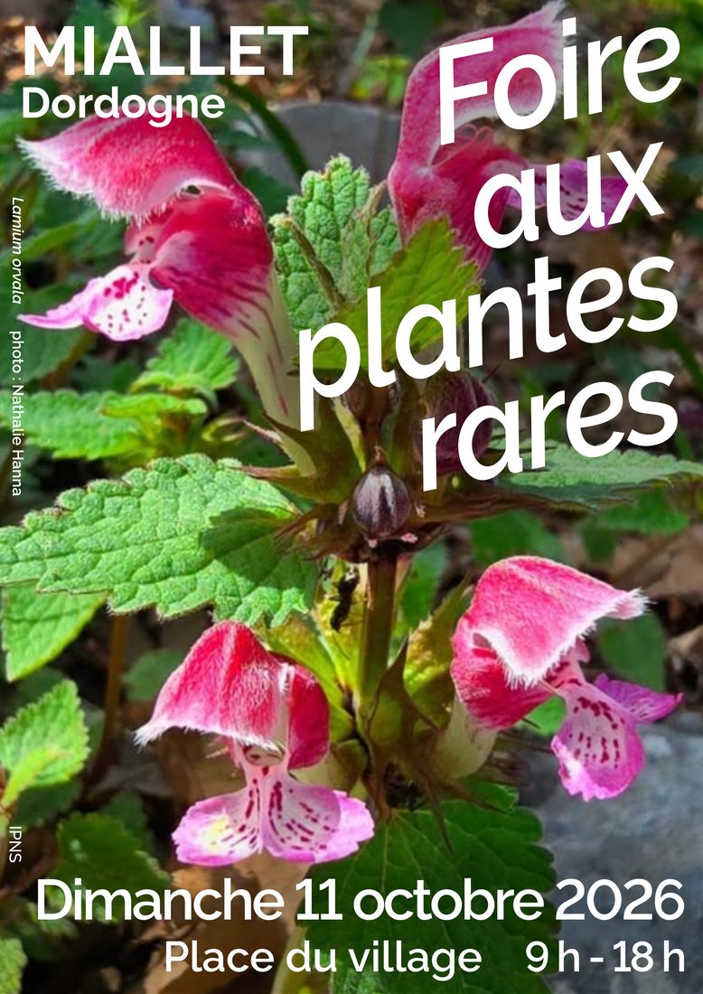 Foire aux plantes rares