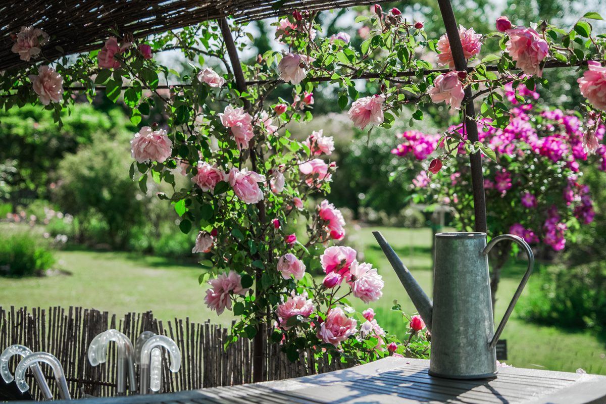 Le Jardin de Marie