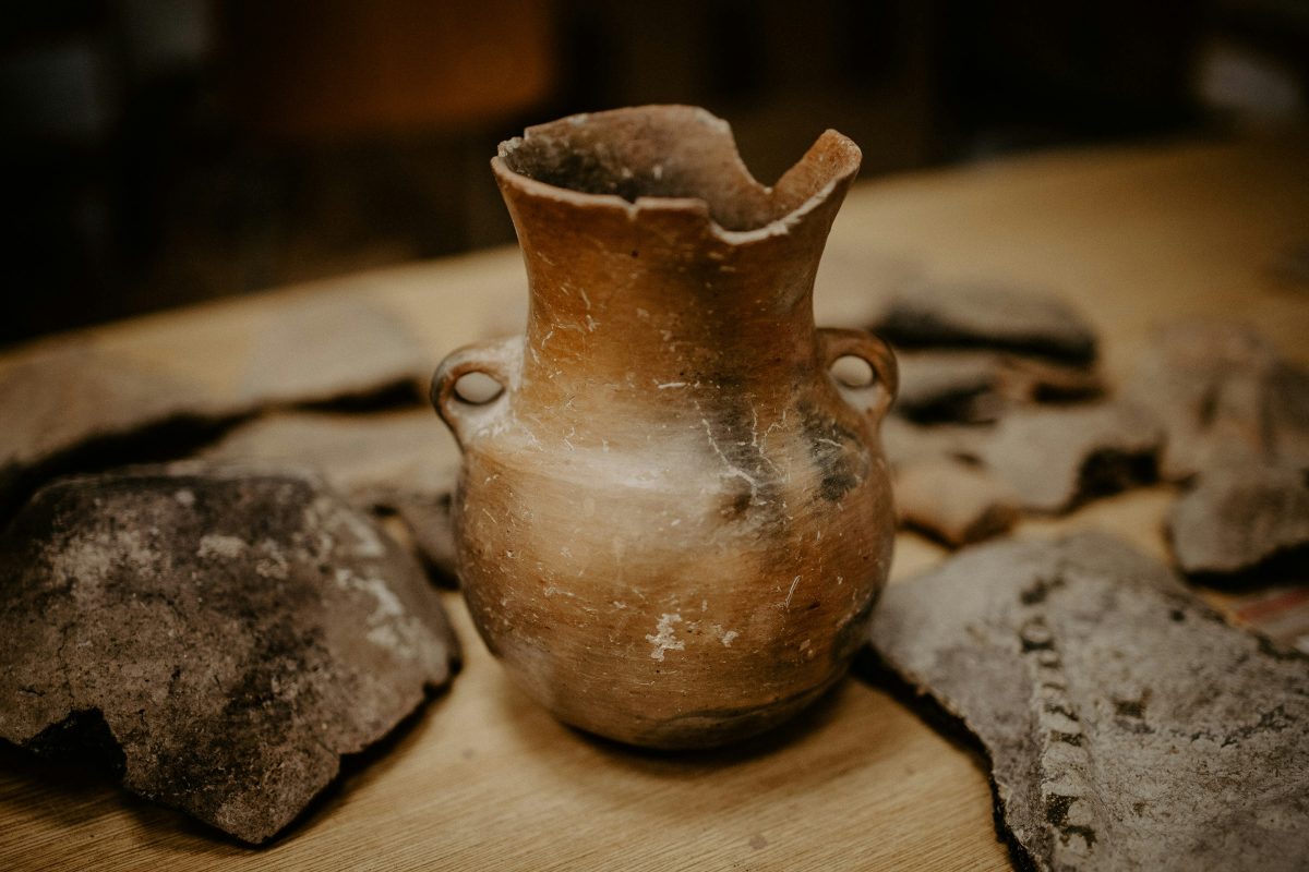 Journée de la détermination archéologie