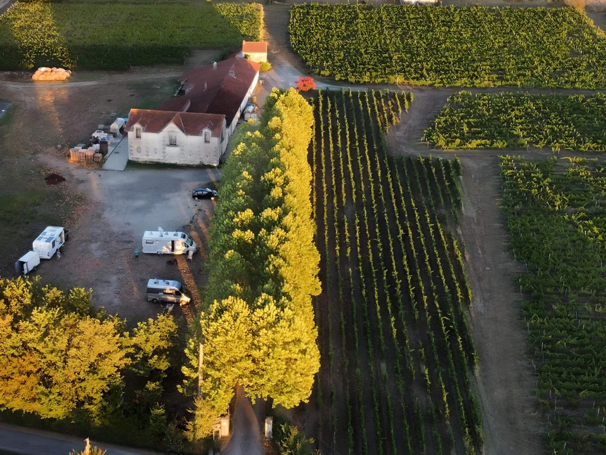 Vignoble Pestoury