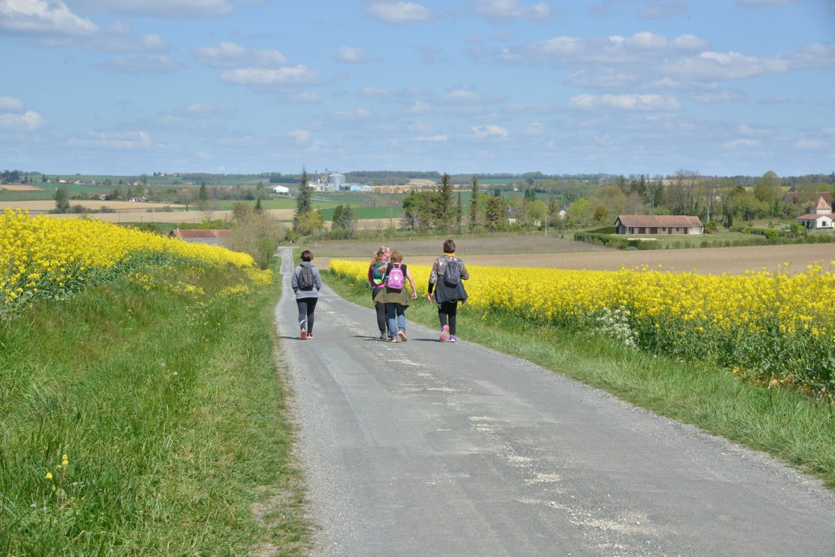 Chemins de Terre d'Harrisson Barker en Val de Dronne