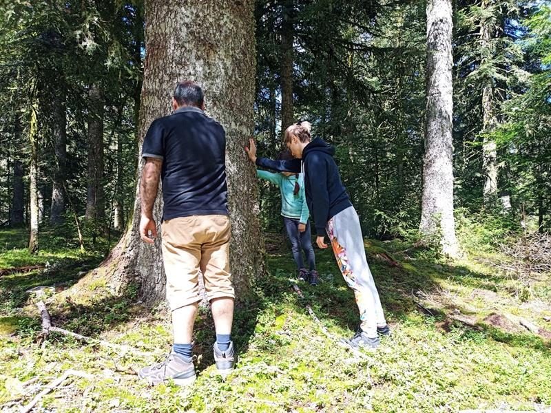 Bureau Montagne Gérardmer - Géocaching
