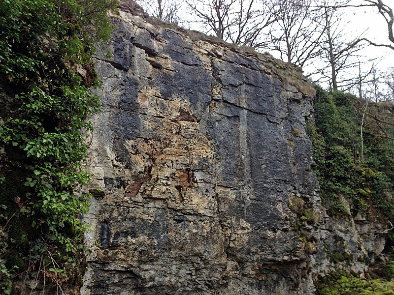 Escalade à la Falaise de Perrancey