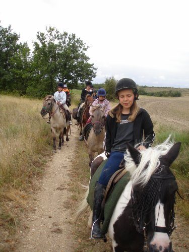 Centre Equestre de Lartigue