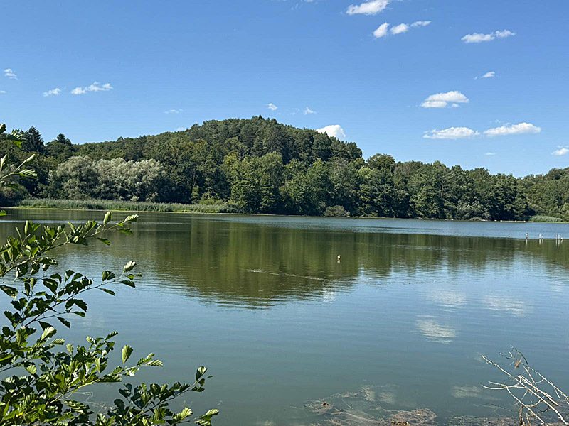 Pêche aux étangs de Reynel