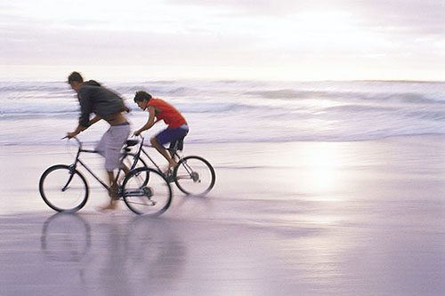 Ericycles